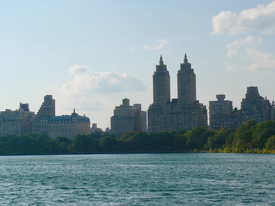 Central Park: Central Park 045